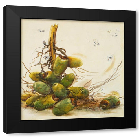 Racimo de Cocos I Black Modern Wood Framed Art Print with Double Matting by Pinto, Patricia