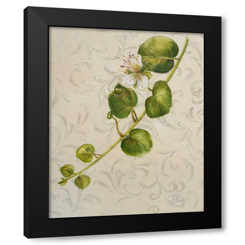 Botanica I Black Modern Wood Framed Art Print by Pinto, Patricia