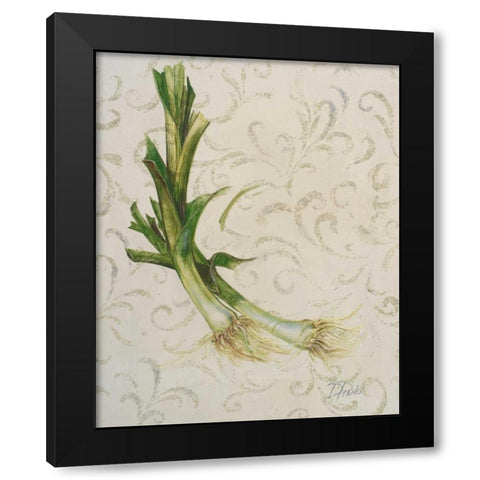 Botanica II Black Modern Wood Framed Art Print by Pinto, Patricia
