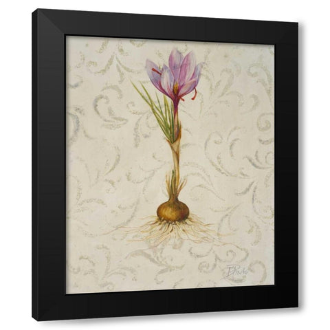 Botanica III Black Modern Wood Framed Art Print with Double Matting by Pinto, Patricia