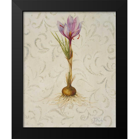 Botanica III Black Modern Wood Framed Art Print by Pinto, Patricia