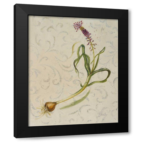 Botanica IV Black Modern Wood Framed Art Print by Pinto, Patricia