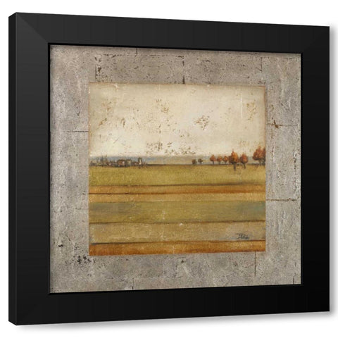 Metalized Landscape I Black Modern Wood Framed Art Print with Double Matting by Pinto, Patricia