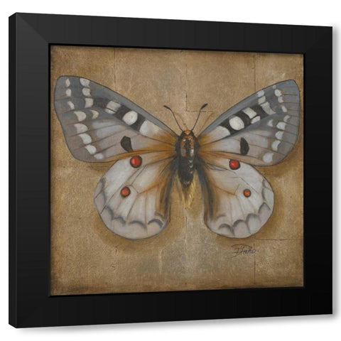 Butterfly II Black Modern Wood Framed Art Print by Pinto, Patricia