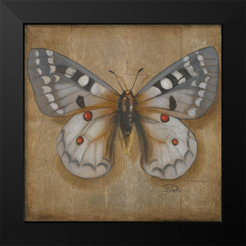 Butterfly II Black Modern Wood Framed Art Print by Pinto, Patricia