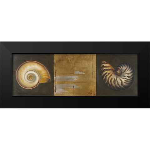 Seashells I Black Modern Wood Framed Art Print by Pinto, Patricia
