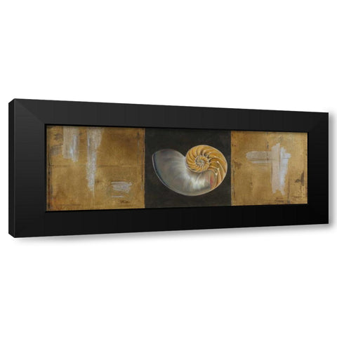 Seashells II Black Modern Wood Framed Art Print with Double Matting by Pinto, Patricia