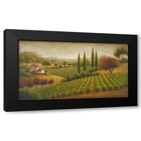Vineyard In The Sun I Black Modern Wood Framed Art Print with Double Matting by Marcon, Michael