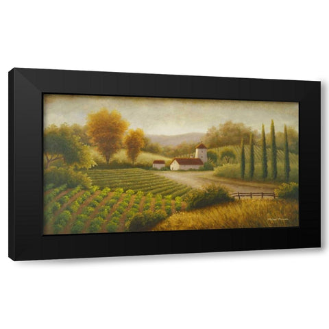 Vineyard In The Sun II Black Modern Wood Framed Art Print with Double Matting by Marcon, Michael