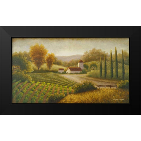 Vineyard In The Sun II Black Modern Wood Framed Art Print by Marcon, Michael