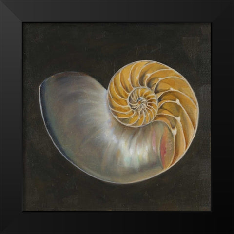Seashell III Black Modern Wood Framed Art Print by Pinto, Patricia