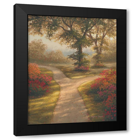 Morning Light II Black Modern Wood Framed Art Print by Marcon, Michael