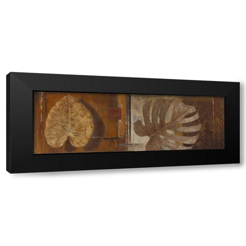 Dry Nature II Black Modern Wood Framed Art Print with Double Matting by Pinto, Patricia