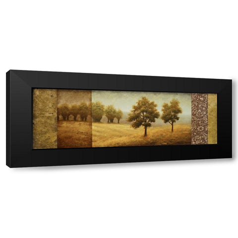 Golden Valley I Black Modern Wood Framed Art Print with Double Matting by Marcon, Michael