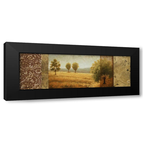 Golden Valley II Black Modern Wood Framed Art Print by Marcon, Michael