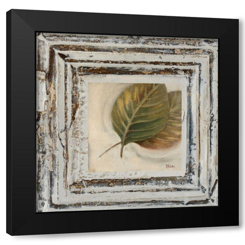 Flowers and Leaves Square VIII Black Modern Wood Framed Art Print with Double Matting by Pinto, Patricia