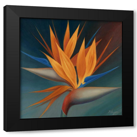 Bird of Paradise II Black Modern Wood Framed Art Print with Double Matting by Rhyan, Vivien