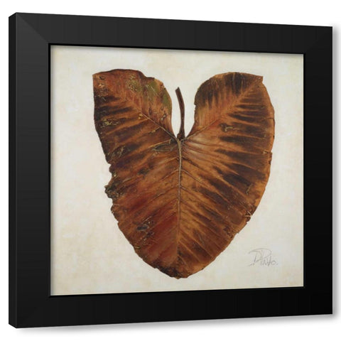 Amazonas I Black Modern Wood Framed Art Print with Double Matting by Pinto, Patricia