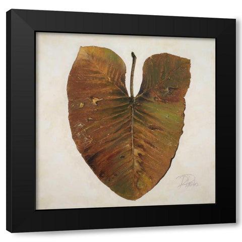 Amazonas II Black Modern Wood Framed Art Print with Double Matting by Pinto, Patricia