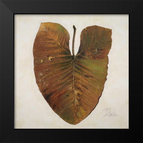 Amazonas II Black Modern Wood Framed Art Print by Pinto, Patricia