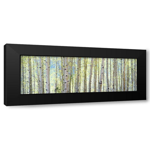 Aspen Black Modern Wood Framed Art Print by Lake, Shelley