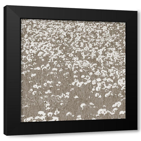 Neutral Fields Black Modern Wood Framed Art Print with Double Matting by Lake, Shelley