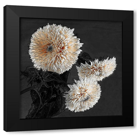 Sunflowers II Black Modern Wood Framed Art Print with Double Matting by Lake, Shelley