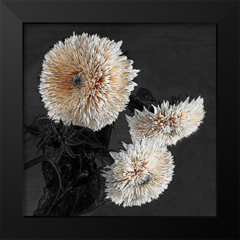 Sunflowers II Black Modern Wood Framed Art Print by Lake, Shelley