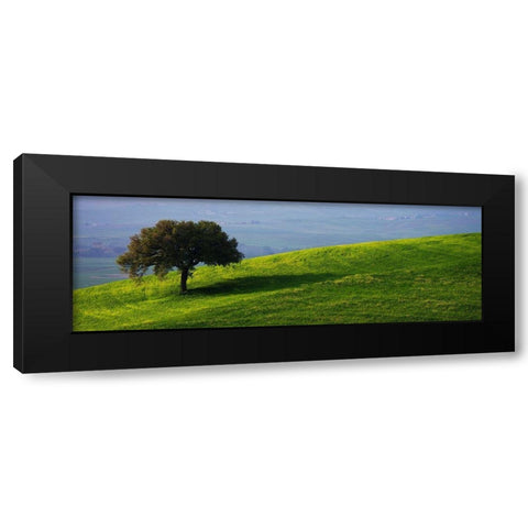 Tuscan Tree Black Modern Wood Framed Art Print by Lake, Shelley