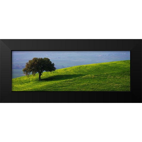 Tuscan Tree Black Modern Wood Framed Art Print by Lake, Shelley