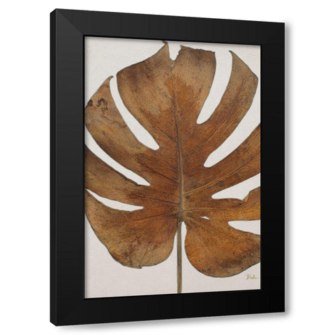 Dry Balazo I Black Modern Wood Framed Art Print by Pinto, Patricia