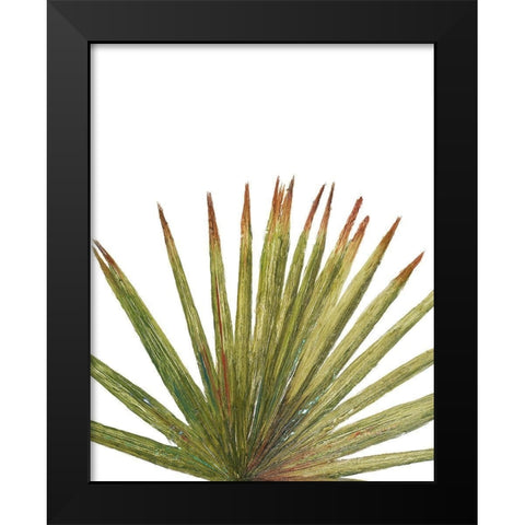 Partial Palm II Black Modern Wood Framed Art Print by Pinto, Patricia