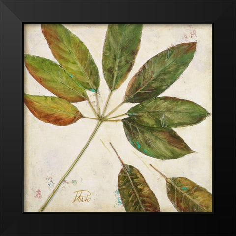 Organic III Black Modern Wood Framed Art Print by Pinto, Patricia