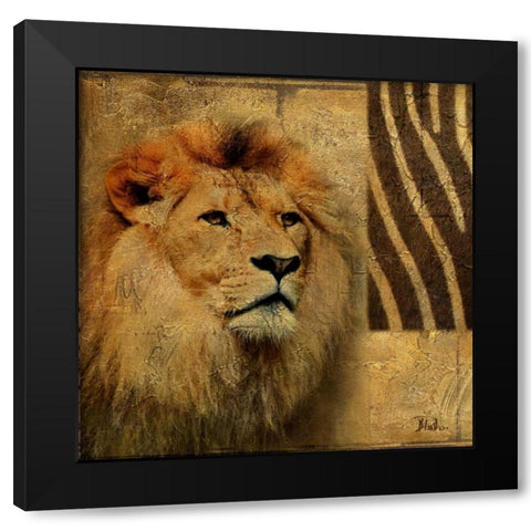 Elegant Safari II (Lion) Black Modern Wood Framed Art Print by Pinto, Patricia