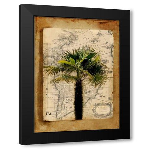 America II Black Modern Wood Framed Art Print by Pinto, Patricia