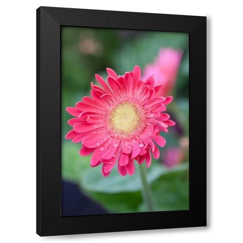 New Vision I Black Modern Wood Framed Art Print with Double Matting by Pinto, Patricia