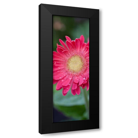 New Vision II Black Modern Wood Framed Art Print by Pinto, Patricia