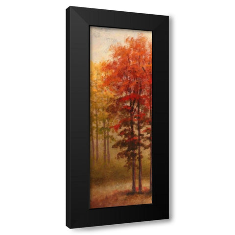 Fall Trees II Black Modern Wood Framed Art Print by Marcon, Michael