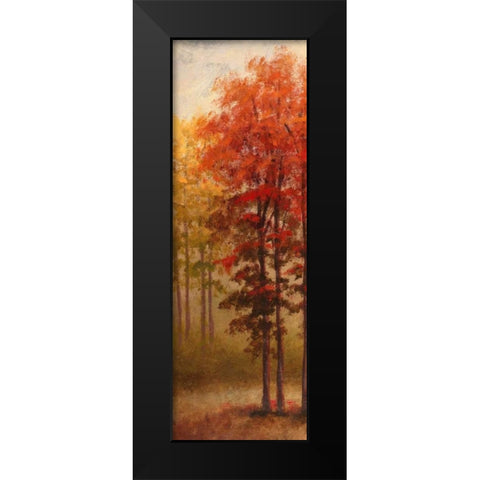 Fall Trees II Black Modern Wood Framed Art Print by Marcon, Michael