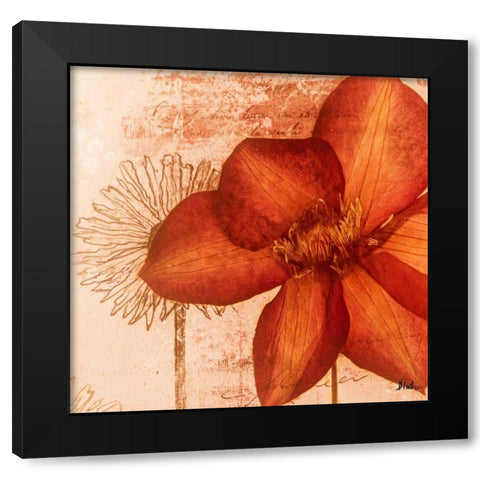 Rouge Pressed Flowers I Black Modern Wood Framed Art Print with Double Matting by Pinto, Patricia