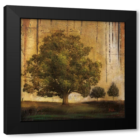 Aged Tree II Black Modern Wood Framed Art Print by Pinto, Patricia