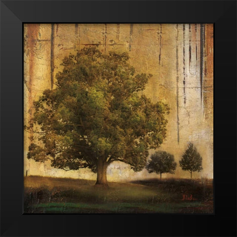 Aged Tree II Black Modern Wood Framed Art Print by Pinto, Patricia
