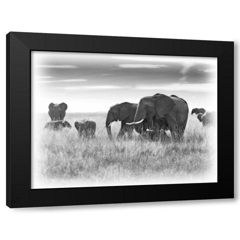 Eles Black Modern Wood Framed Art Print by Farnsworth, Sarah