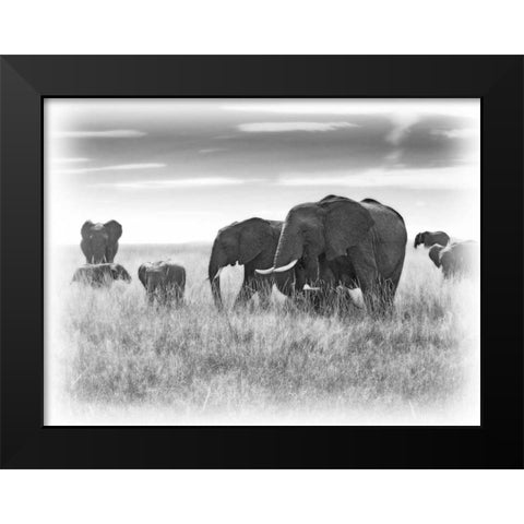 Eles Black Modern Wood Framed Art Print by Farnsworth, Sarah