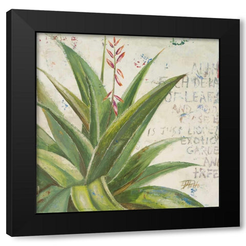 Aloe II Black Modern Wood Framed Art Print by Pinto, Patricia