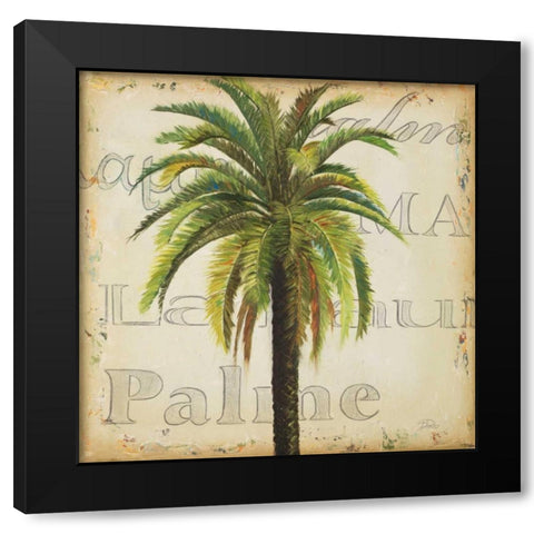 La Palma III Black Modern Wood Framed Art Print with Double Matting by Pinto, Patricia