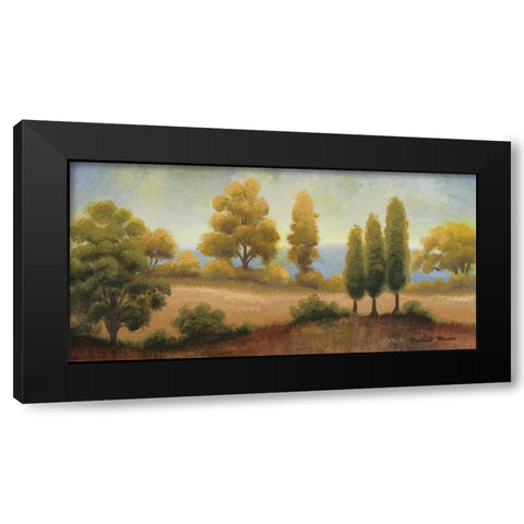September Vista Black Modern Wood Framed Art Print by Marcon, Michael
