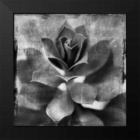 BW Succulent Border I Black Modern Wood Framed Art Print by Pinto, Patricia