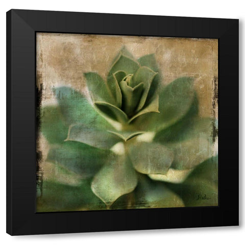 Succulent I Black Modern Wood Framed Art Print by Pinto, Patricia