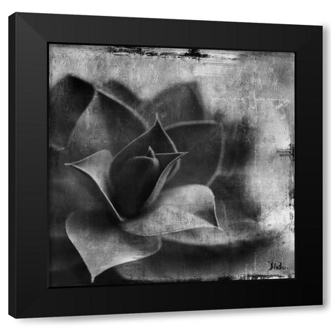 BW Succulent Border II Black Modern Wood Framed Art Print by Pinto, Patricia
